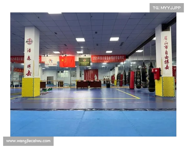 武术散打：融合传统与现代的搏击艺术与实战技巧分析